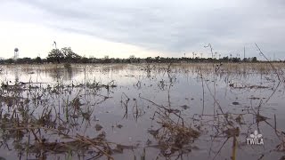 Flooding Pounds Corn Crop