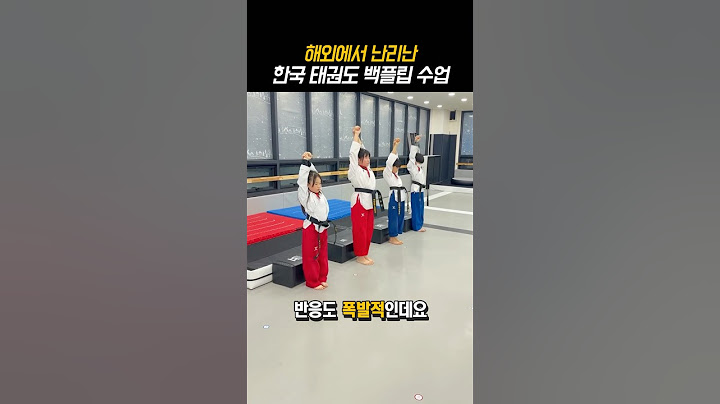 한국 태권도의 수업 방식에 감탄한 외국인들ㅋㅋㅋ