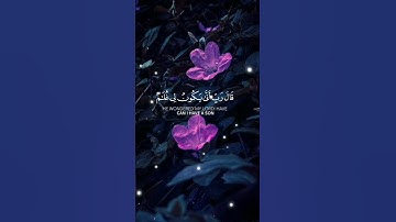 قرآن الكريم / حالات-واتساب/ قرأن/(سورة مريم)💙 يا زكريا إنا نبشرك /  الشيخ: مشاري العفاسي 🖤🎧