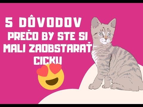 Video: Čínske „inteligentné“väzenia Budú Vybavené Robotmi A Umelou Inteligenciou - Alternatívny Pohľad