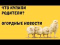 #ИзГерманиивРоссию. Что купили родители? Огородные новости.