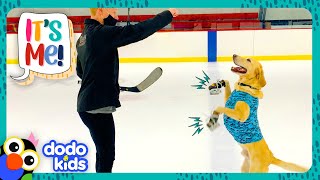 Ice Skating Dog Can’t Go To The Rink Anymore! | Dodo Kids | It’s Me