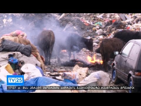 ადლიის ნაგავსაყრელზე ნარჩენების დებეტის შესწავლა იწყება