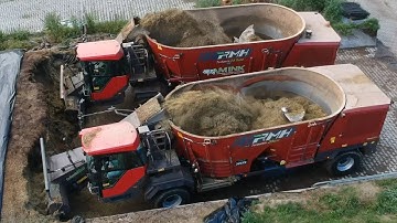 Loonvoeren met Damink