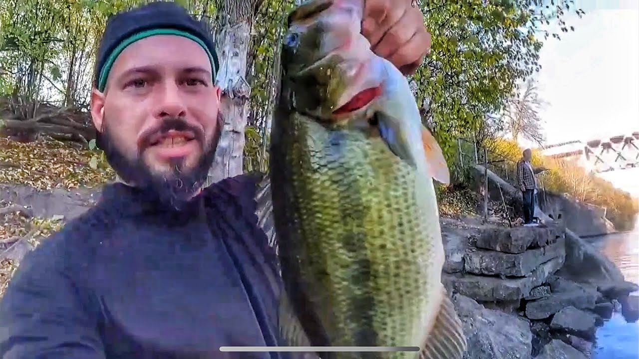 Fall Bass Fishing the Chicago River || Spinnerbaits and Weightless worm Fishing