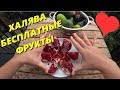 Погода в Турции в октябре. Турция когда заканчивается сезон. Турецкая деревня. Meryem Isabella