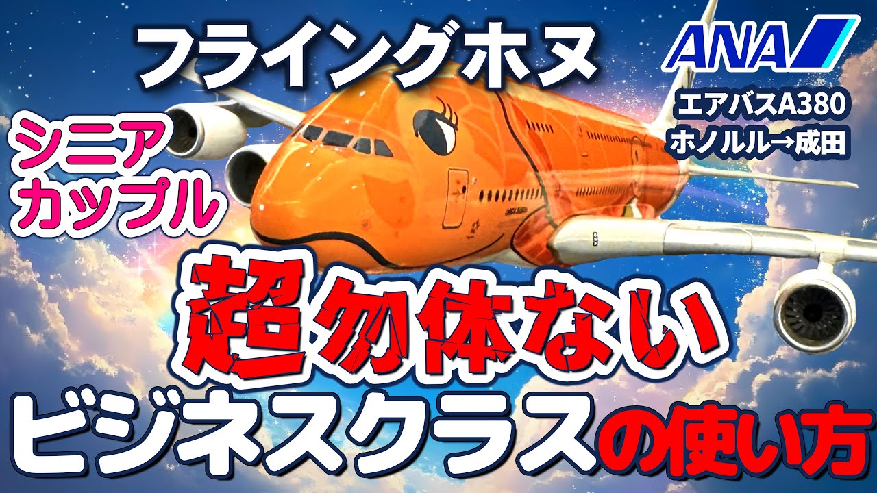 ハワイ】シニアカップル、フライングホヌ・ラーちゃん搭乗記！座席を