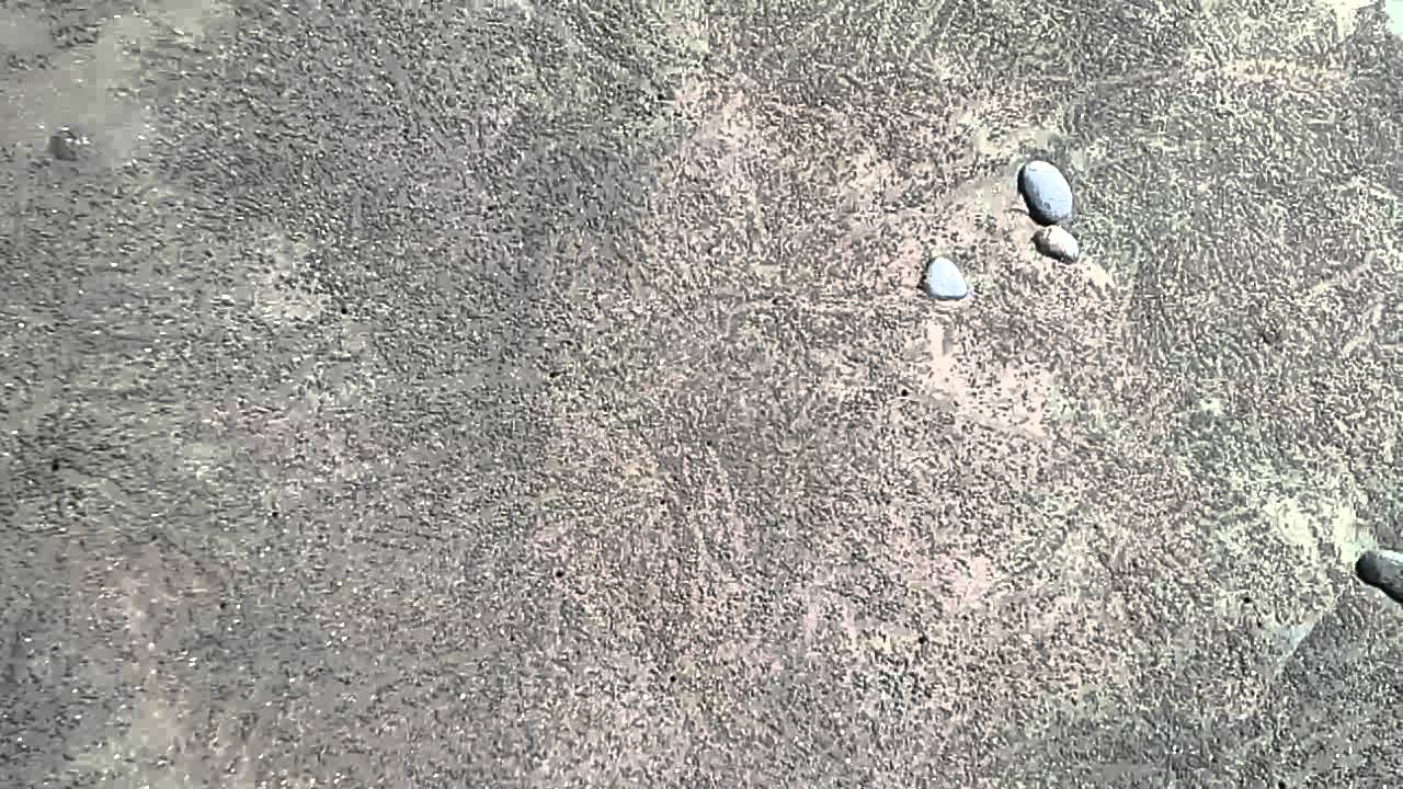 Madewi Surfing Beach West Bali 4000m2