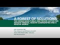 FSC at COP26: Virtual Event - A forest of solutions: The Congo Basin.