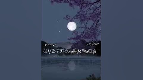 ما تيسر من سورة آل عمران | القارئ | يوسف الأغبري