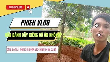 Nghề Bứng Cây Kiểng Có Ổn Không| Chia Sẻ Câu Chuyện 3 Phút Của Thợ Cây