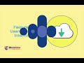 Migrate the Address Book from IBM/HCL Notes 2 vCard .vcf format - Error Free 2025