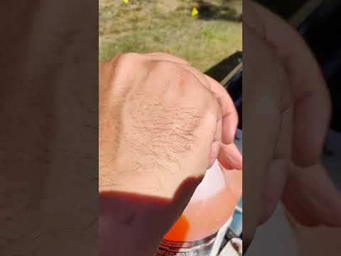 How to add washer fluid to a Toyota vehicle / Tacoma #toyota #diy #automotive