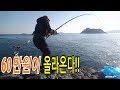 추자도 갯바위 돌돔원투낚시 냉장고 포인트에서 60만원을 건져왔습니다!! (fishing)