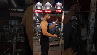 Cable Triceps Exercise ( target all heads ) lateral vs medial vs long heads