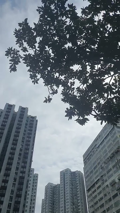 Hawane syahdu  #shortsfeed #shortvideo #fypシ゚viral #fypshort #shorts