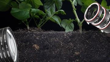 Macro extension tubes vs Close-up lenses