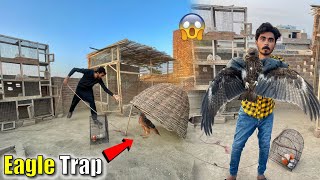 Big Eagle Trap Laga Kar Pet House Se Pakar Lea🦅 😱
