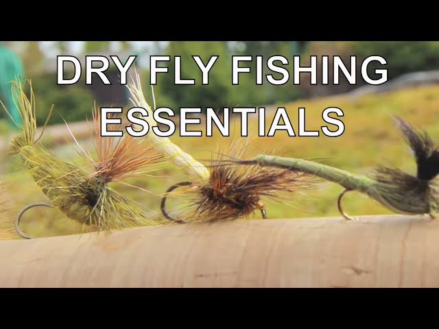 Dry Fly Fishing Essentials with Tom Rosenbauer 