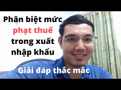 Phân Biệt Trường Hợp Phạt Tiền Thuế Khi Làm Thủ Tục Xuất Nhập Khẩu| Phạt 10% , 20% và 100% Tiền Thuế
