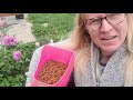 Being Ewethful Episode 21 Wool Mill Life, Farm to Yarn and in Between