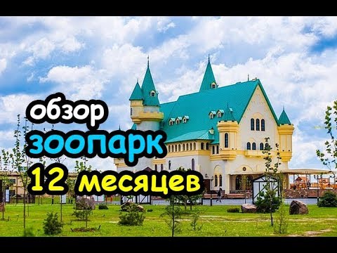 Полный Обзор Зоопарка 12 Месяцев 2021