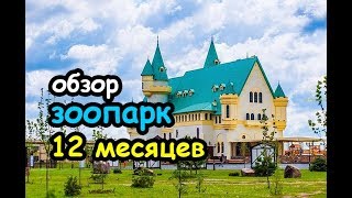 Полный обзор зоопарка 12 месяцев 2021