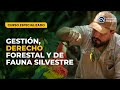 CURSO: GESTIÓN, DERECHO FORESTAL Y DE FAUNA SILVESTRE - MÓDULO VII