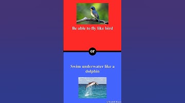 What would you rather do? #wouldyourather #fun #blue #choose #quiz #red #trivia #whatwouldyourather