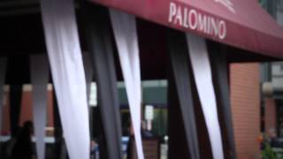 Indy 500 - Palomino Indianapolis Palomino Restaurant Downtown Indianapolis