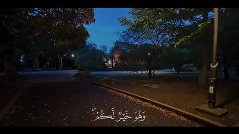 سورة البقرة / القارئ ياسر الدوسري . راحة نفسية
