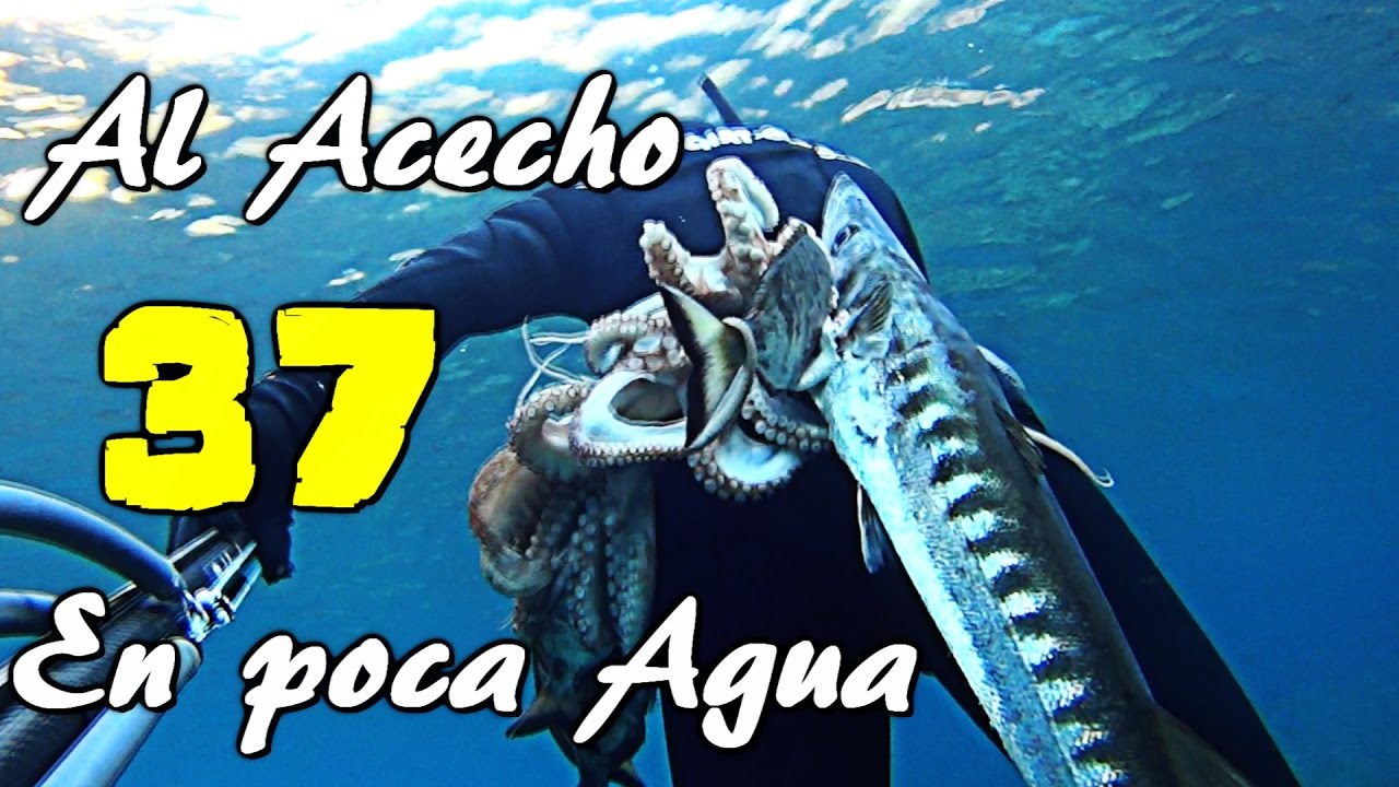 pesca submarina profunda Pesca Submarina, Al ACECHO XXIII