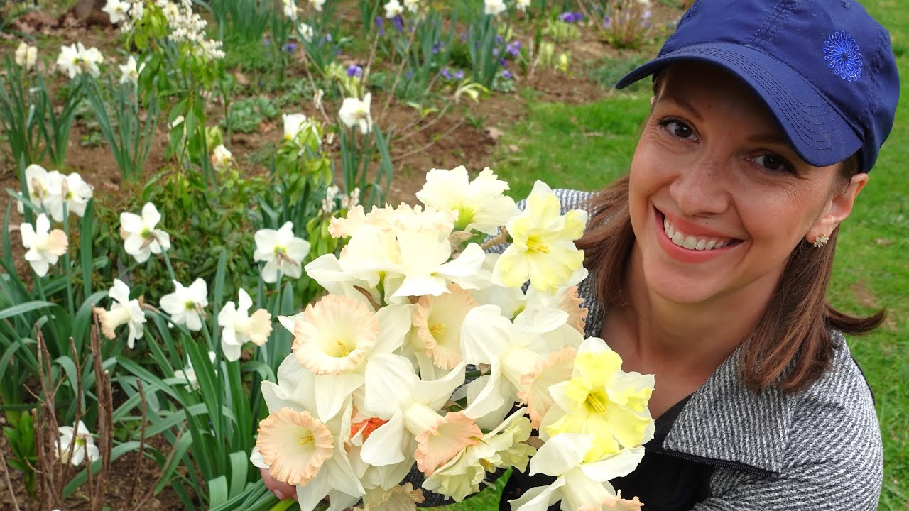 Sunny Spring Planting Day + Weekly Daffodil Tour! Planting Phlox, Roselilies, and Acidanthera