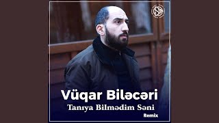 Tanıya Bilmədim Səni (Remix)