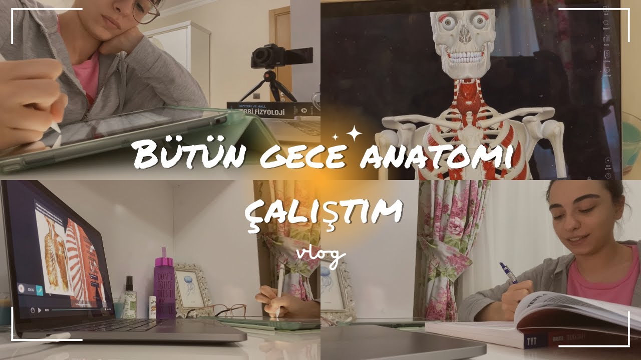 BÜTÜN GECE ANATOMİ ÇALIŞTIM 
