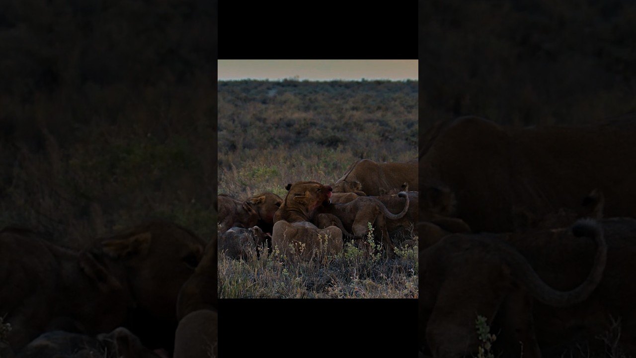 Survival Depends on Strategy and Timing