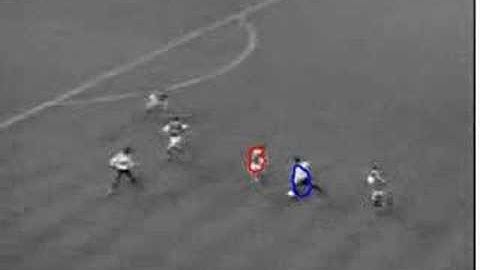 Tracking through clutter using graph cuts.