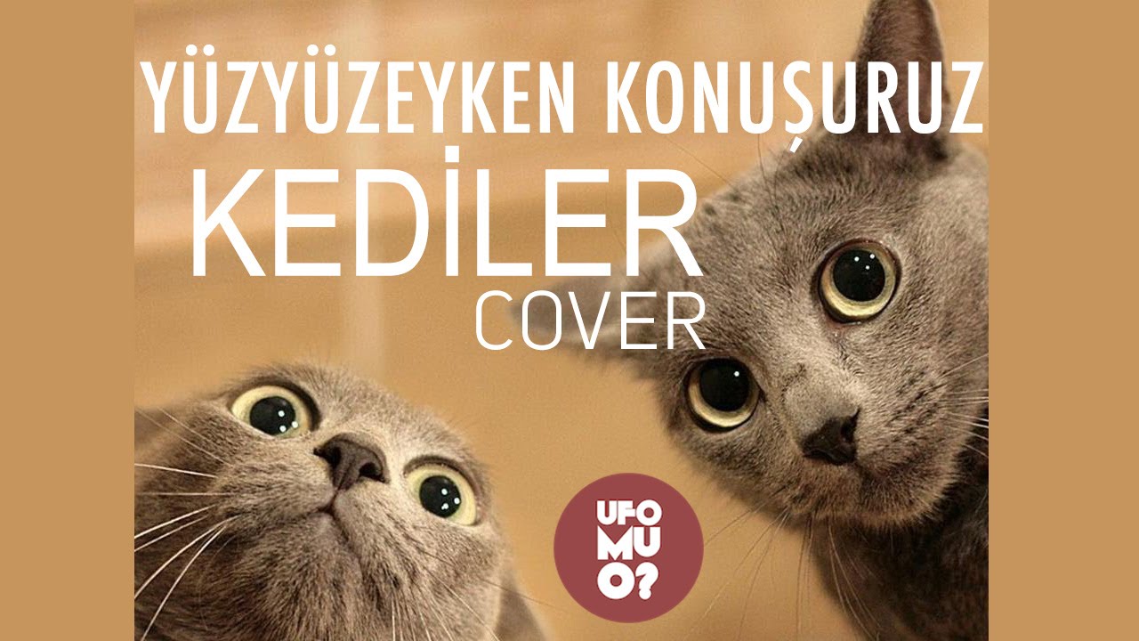 Ufomuo Kediler Cover Yuzyuzeyken Konusuruz Komik Kedi Videolari Kedi Komik Kediler Komik