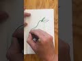 How to draw a pear from simple shapes, fast &amp; easy. #art #doodle #drawing #sketchbook #asmr
