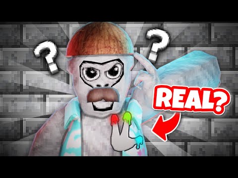 Addressing The Rumours...