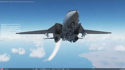 DCS F 14B MP TALD Strike 1 08 24 2020 20 19 57 715