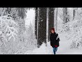 Mystical winter forest  snowy walk through german winter wonderland