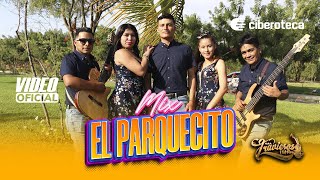 Miniatura del video "Mix el parquecito - Traviesos del Perú | Ciberoteca"