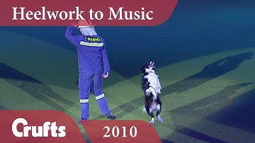 Heelwork To Music - Freestyle International Winner 2010 | Crufts Dog Show
