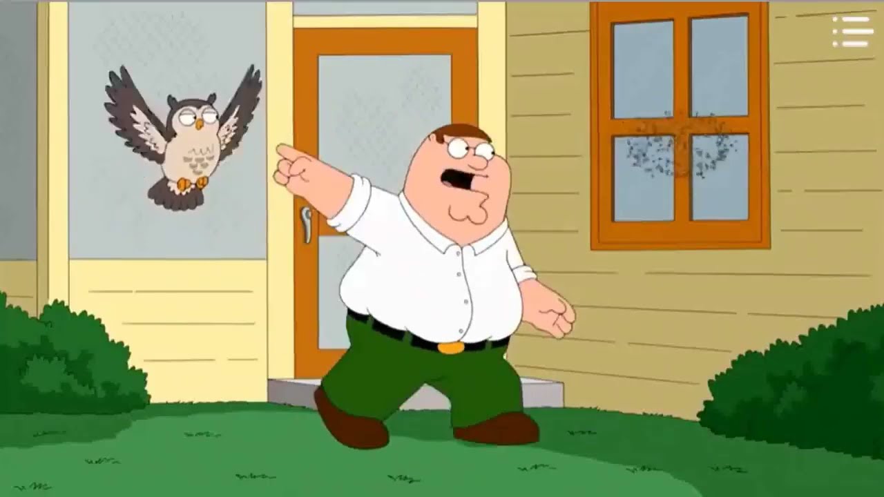Family Guy Talking Animals Compilation