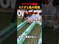 うさぎと亀の再現