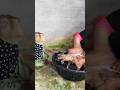 Awesome Video Super SokYaa Very Adorable Harmony Animals Around The World Shorts Awesome Video Super SokYaa Very Adorable Harmony Animals Around The World Shorts