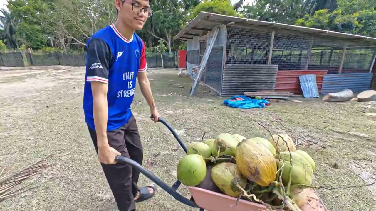 Alih kelapa je bagai nak rakkk aihh