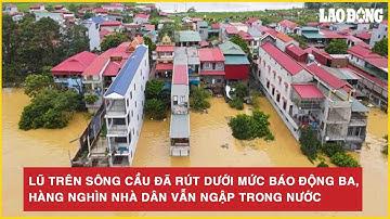 Lũ trên sông Cầu đã rút dưới mức báo động ba, hàng nghìn nhà dân vẫn ngập trong nước
