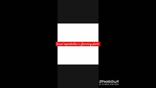 Sexual reproduction in flowering plants All EXAMPLES